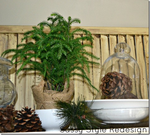 christmas counter real tree decor christmas counter real tree decor