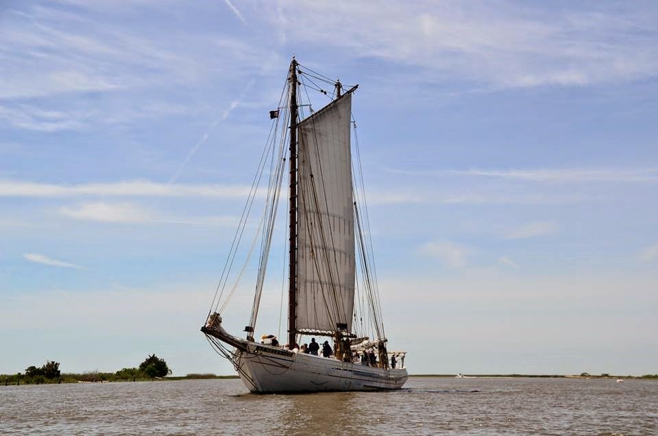 [AJ%2520Meerwald%255B3%255D.jpg]