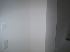 IMG_9781 IMG_9781