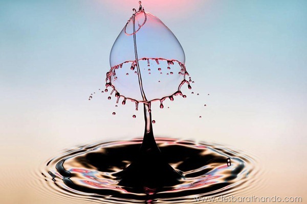 liquid-drop-art-gotas-caindo-foto-velocidade-hora-certa-desbaratinando (8) liquid-drop-art-gotas-caindo-foto-velocidade-hora-certa-desbaratinando (8)