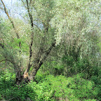 IMG_7728.JPG