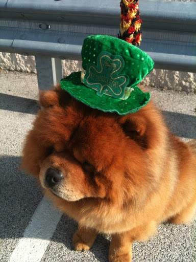 By the way, GK sent us this photo of him celebrating St. Patrick's Day with Karen! By the way, GK sent us this photo of him celebrating St. Patrick's Day with Karen!