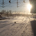 IMG_7635.JPG