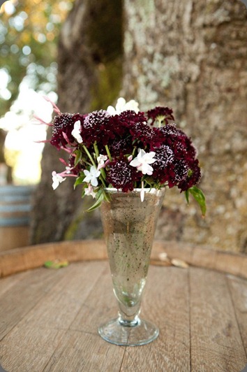 ibb-1320670871 fleurs de france ibb-1320670871 fleurs de france