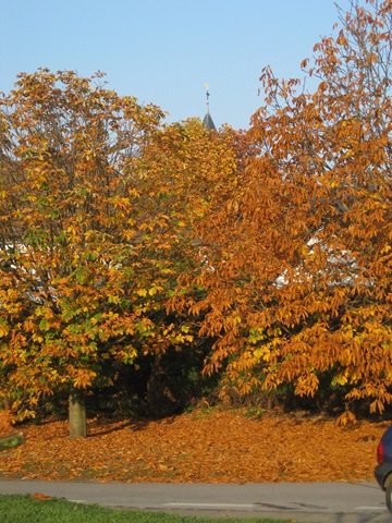 [morgenbilder%2520002%255B3%255D.jpg]