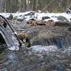 DSCN2920.jpg