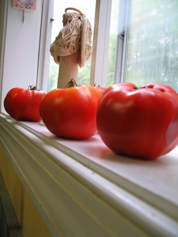 [IMG_51777.jpg]
