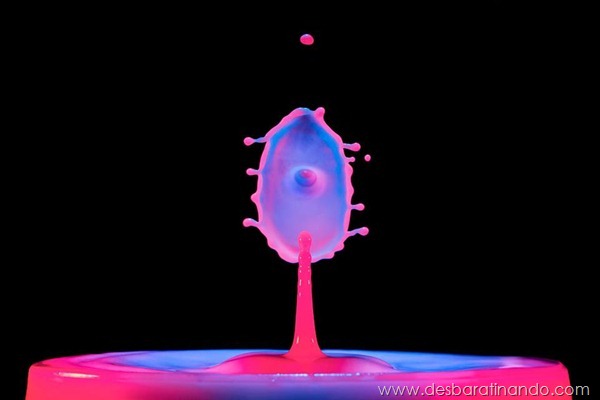 liquid-drop-art-gotas-caindo-foto-velocidade-hora-certa-desbaratinando (199)