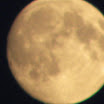 DSCN2446.jpg