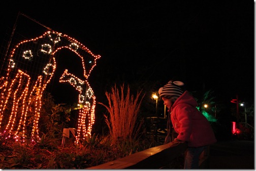 12-24-2011_999_195