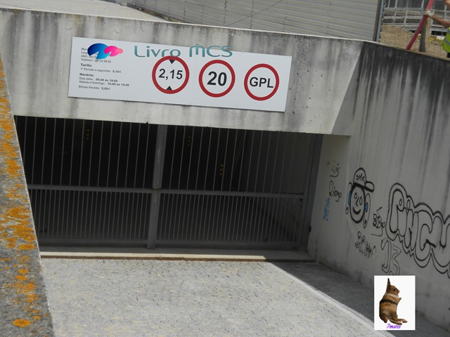 [Bolg%2520Gazeta%2520de%2520Espinho006%2520Livro%2520MCS%255B2%255D.jpg]