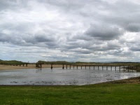 IMG_1099 IMG_1099