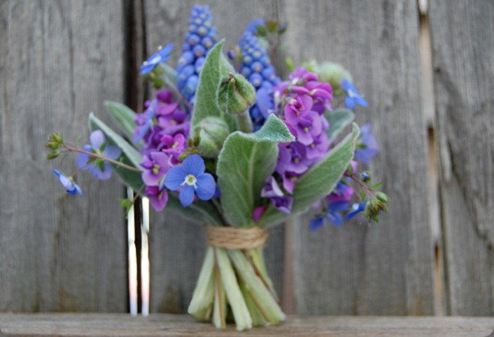 MFGSmallisBeautiful the monkey flower group