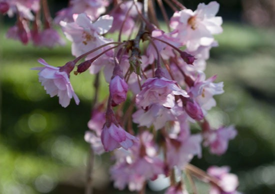 [DSC_4340%255B4%255D.jpg]
