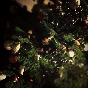 IMG_1247 IMG_1247