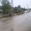IMGP0536.JPG