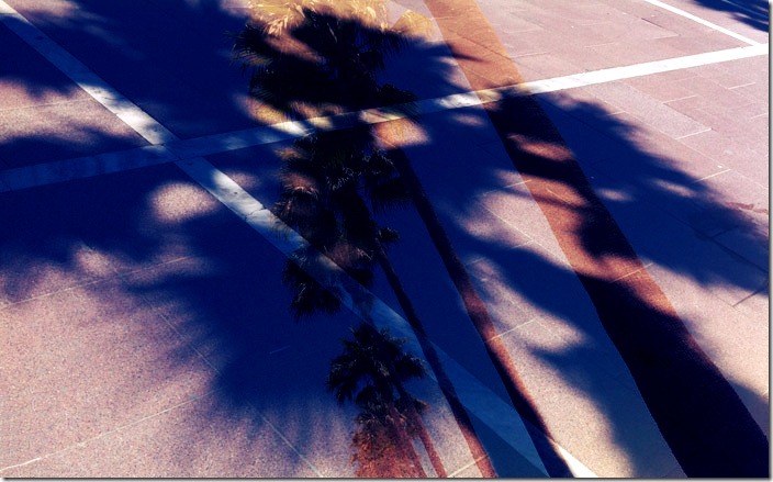Tropical Obsession 009