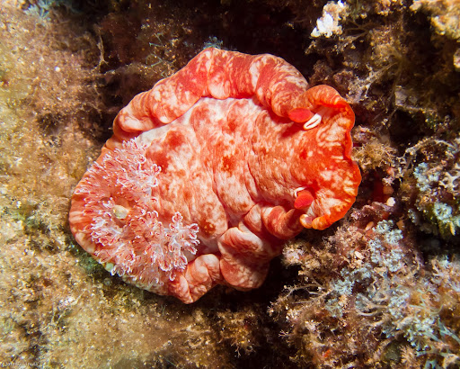 P5053305