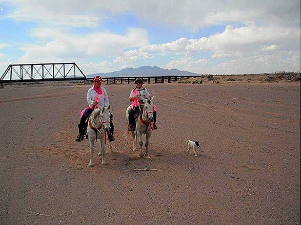 [TrailMarking1%255B12%255D.jpg]