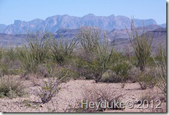 Alpine and Big bend TX 050