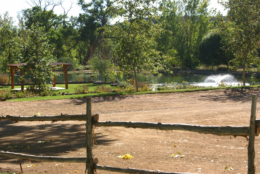 [DSC06660.jpg]
