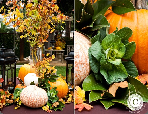 Carmen Salazar Photography Carmen Salazar Photography