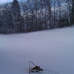 IMAG0489.jpg