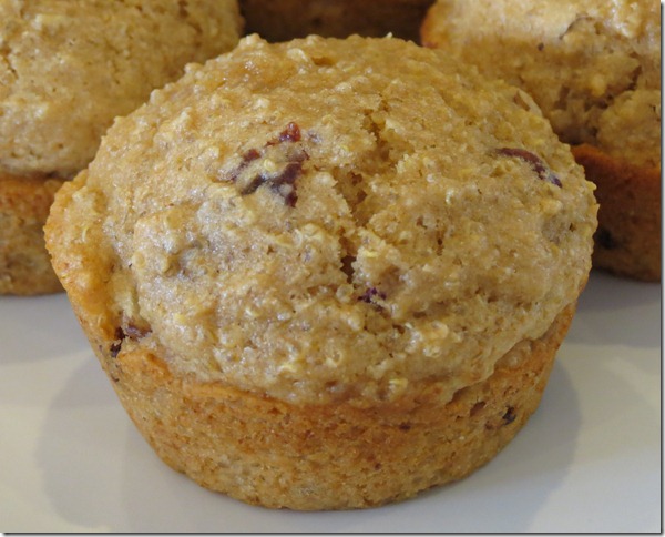 Quinoa Cranberry Pecan Muffins--Feb. SRC