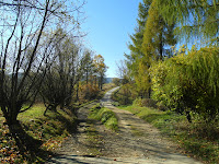SAM_6708.JPG Photo