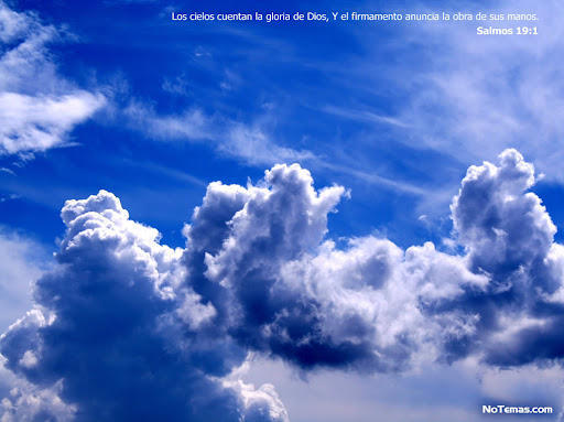cielos abiertos aviatur