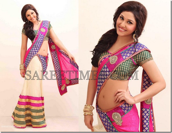 Pooja_Chopra_Saree