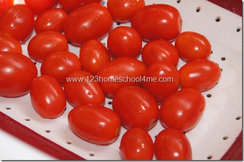 garden fresh cherry tomatoes garden fresh cherry tomatoes