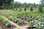 Urning For The Garden And More