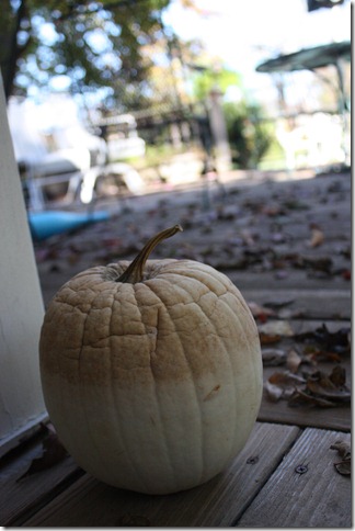 IMG_6820 IMG_6820