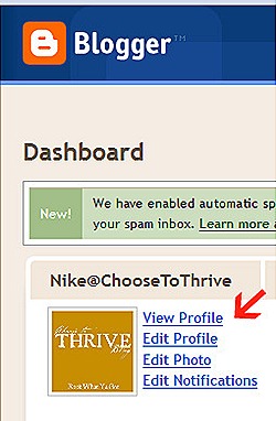 Blogger Dashboard - Mozilla Firefox 1132011 100349 AM.bmp