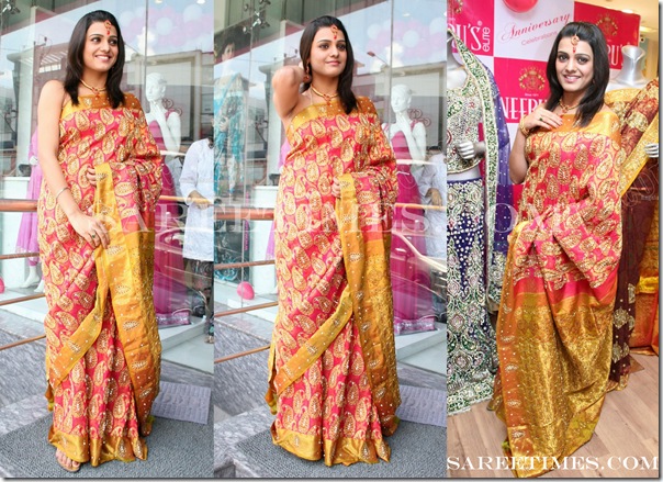 Tashu_Kaushik_Designer_Sari