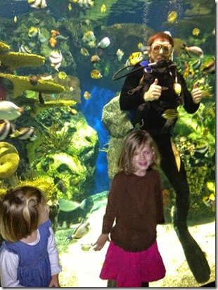 IMG_9485 IMG_9485
