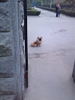 IMG_20111212_165105.jpg