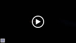 Motion Graphics