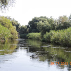 DSCN4596.JPG