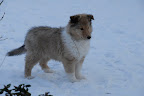 _DSC0059.JPG