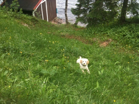 [IMG_0263%255B2%255D.jpg]