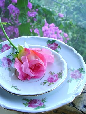 [Dic.29%252C09-arreglos%2520rosas%2520y%2520jard%25C3%25ACn%2520444%255B5%255D.jpg]
