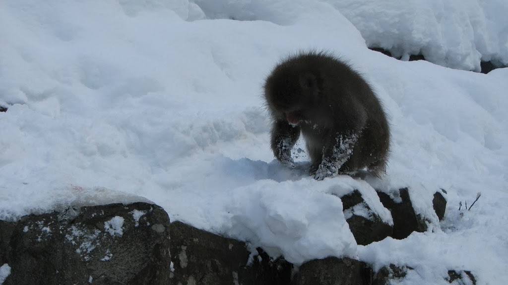 [IMG_4274%255B3%255D.jpg]