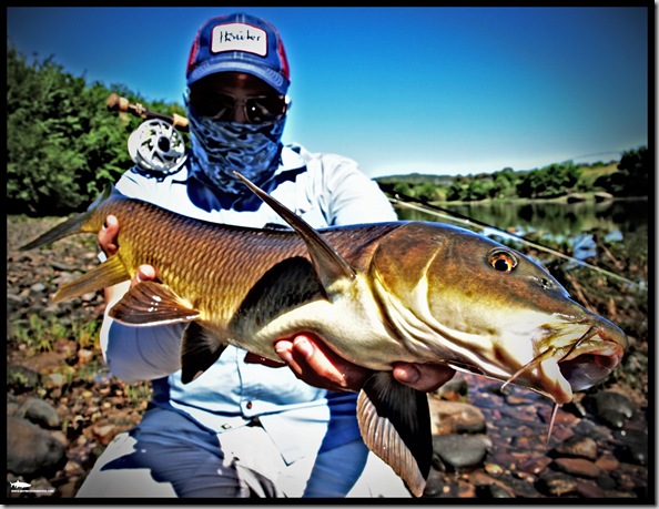 www.barbosconmosca.com     