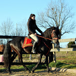DSC_0235.JPG