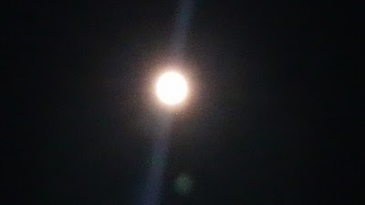 2014-09-08 21.37.24.jpg