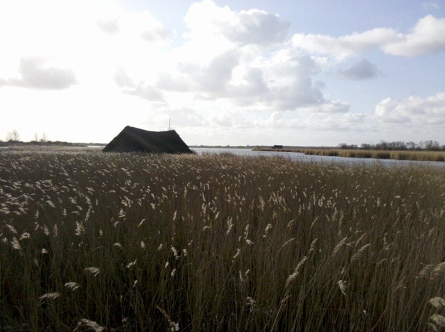 2012-02-19_14-50-51_398