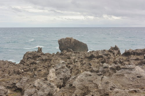 rIPEcQ rIPEcQ