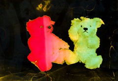 Split-Toned-Prints---Bears-2-B